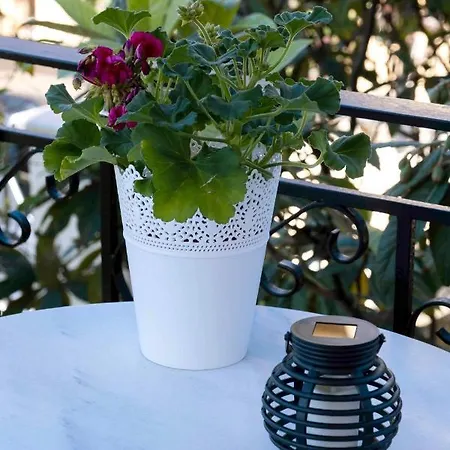 My One And Only, The Sea Kato Diminio