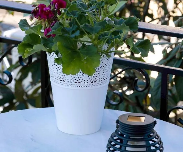 My One And Only, The Sea Kato Diminio